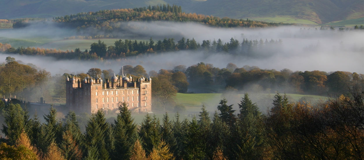 chapel farm dog food